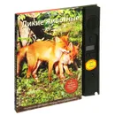 Дикие животные. Иллюстрированная энциклопедия обитателей средней полосы России. Книжка-игрушка - Ксения Митителло