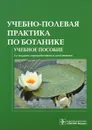 Учебно-полевая практика по ботанике. Учебное пособие - Мария Старостенкова,Мария Гуленкова,Лада Шафранова,Нина Шорина,Наталия Барабанщикова