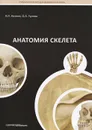 Анатомия скелета. Учебное пособие - В. И. Козлов, О. А. Гурова