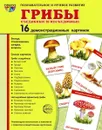 Грибы съедобные и несъедобные (набор из 16 демонстрационных картинок) - Т. В. Цветкова, Т. А. Шорыгина