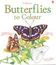 Butterflies to Colour - Megan Cullis