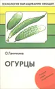 Огурцы - О. Ганичкина