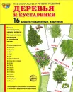 Деревья и кустарники (набор из 16 демонстрационных картинок) - Т. В. Цветкова, Т. А. Шорыгина