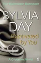 Captivated by You - Дэй Сильвия
