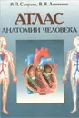 Атлас анатомии человека. Учебное пособие - Р. П. Самусев, В. Я. Липченко