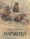 Мармотка - Ольга Перовская