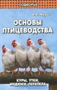 Основы птицеводства. Куры, утки, индюки, перепела - В. В. Мирось