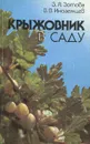 Крыжовник в саду - З. Я. Зотова, В. В. Иноземцев