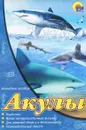 Акулы. Наглядное пособие - Виктория Гетцель