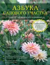 Азбука садового участка. Ландшафтный дизайн для начинающих - Галина Кизима
