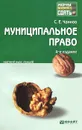 Муниципальное право. Краткий курс лекций - С. Е. Чаннов