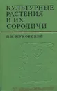 Культурные растения и их сородичи - П. М. Жуковский