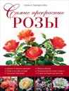 Самые прекрасные розы - Галина Панкратова