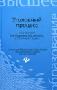 Уголовный процесс. Учебник - О. И. Андреева