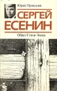 Сергей Есенин. Образ. Стихи. Эпоха - Прокушев Юрий Львович, Есенин Сергей Александрович