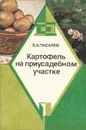 Картофель на приусадебном участке - Б. А. Писарев