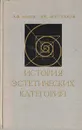 История эстетических категорий - А. Ф. Лосев, В. П. Шестаков