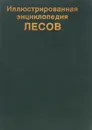 Иллюстрированная энциклопедия лесов - Ян Еник