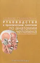 Анатомия человека. Руководство к практическим занятиям - В. И. Козлов, Т. А. Цехмистренко