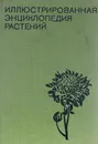 Иллюстрированная энциклопедия растений - Ф. А. Новак