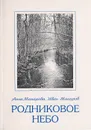 Родниковое небо - Макарова А., Макаров И.