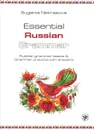 Практическая грамматика русского языка: основы русской грамматики и практикум с ключами.(Essential Russian Grammar: Russian Grammar Basics and Grammar Practice with Answers) - Е. В. Некрасова