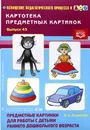 Картотека предметных картинок. Выпуск 43. Предметные картинки для работы с детьми раннего дошкольного возраста - О. Э. Литвинова