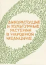 Дикорастущие и культурные растения в народной медицине - Н. С. Соколова,  Т. Г. Панфилова, Г. А. Панфилов