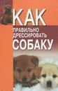 Как правильно дрессировать собаку - Давыденко Виталий Игоревич
