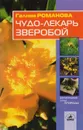 Чудо-лекарь зверобой - Романова Г.