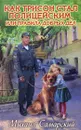 Как Трисон стал полицейским, или Правила добрых дел - Самарский Михаил
