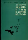 Жизнь птиц и зверей Карелии - И. Ф. Андреев