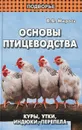 Основы птицеводства. Куры, утки, индюки, перепела - В. В. Мирось