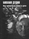 Над пропастью слова и дела - Михаил Дудин