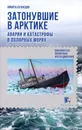 Затонувшие суда. Аварии и катастрофы в полярных морях - Никита Кузнецов