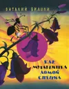 Как муравьишка домой спешил - Виталий Бианки