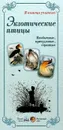 Экзотические птицы. Необычные, причудливые, странные - Л. Жукова