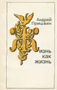 Жизнь как жизнь - Пришвин Андрей Сергеевич