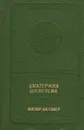 Костер на снегу - Шевелева Екатерина Васильевна