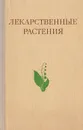 Лекарственные растения (Растения-целители) - Адель Гаммерман,Геннадий Кадаев,Мария Шупинская,Андрей Яценко-Хмелевский