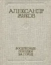 Воскресные поездки за город - Александр Жуков