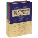 Анатомия человека. Учебник. В 3 томах (комплект из 3 книг) - М. Р. Сапин, Д. Б. Никитюк, С. В. Клочкова