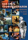 Как стать профессионалом. Путеводитель по рынку труда - М. Бендюков, И. Соловин