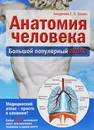 Анатомия человека. Большой популярный атлас - Г. Л. Билич