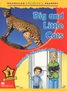 Big and Little Cats: Grandad's Weekend with Leo: Level 3 - Coleen Degnan-Veness