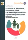 Больничные, декретные, пособия на детей и выплаты при несчастных случаях на производстве - И. Б. Ланина