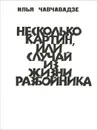 Несколько картин, или Случай из жизни разбойника - Илья Чавчавадзе