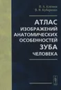 Атлас изображений анатомических особенностей зуба человека - В. А. Клемин, В. В. Кубаренко