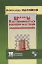 Шахматы. Как тренироваться будущим мастерам - Калинин Александр Владимирович