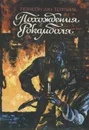 Похождения Рокамболя. Том 10 - Понсон дю Террайль Пьер Алексис